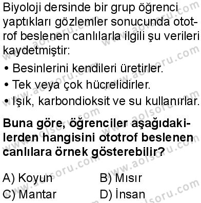 Biyoloji 1 Dersi 2025-2026 yılı 1. Dönem sınavı 4. Soru