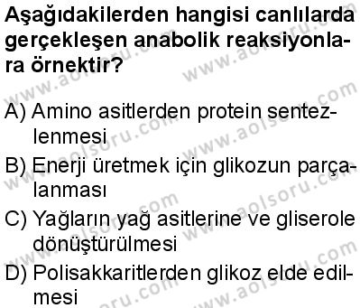Biyoloji 1 Dersi 2025-2026 yılı 1. Dönem sınavı 5. Soru