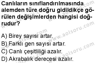 Biyoloji 1 Dersi 2025-2026 yılı 1. Dönem sınavı 6. Soru