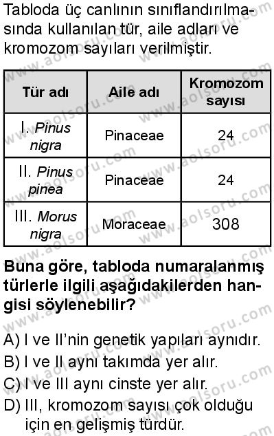 Biyoloji 1 Dersi 2025-2026 yılı 1. Dönem sınavı 7. Soru