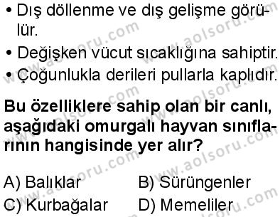 Biyoloji 1 Dersi 2025-2026 yılı 1. Dönem sınavı 9. Soru