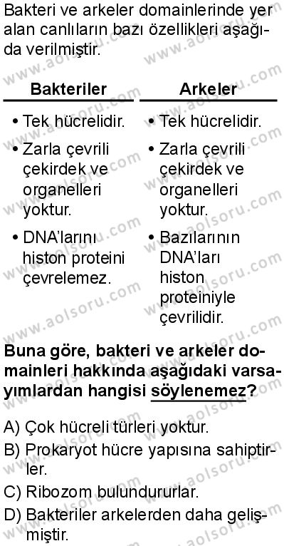 Biyoloji 1 Dersi 2025-2026 yılı 1. Dönem sınavı 10. Soru