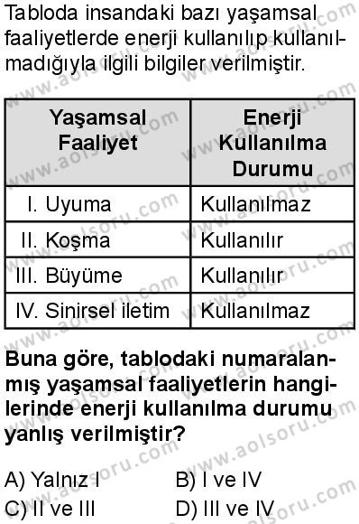 Biyoloji 3 Dersi 2025-2026 yılı 1. Dönem sınavı 1. Soru