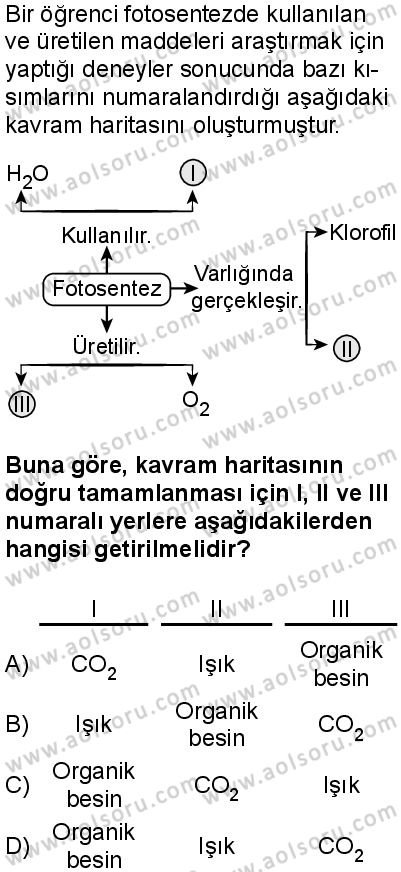Biyoloji 3 Dersi 2025-2026 yılı 1. Dönem sınavı 3. Soru