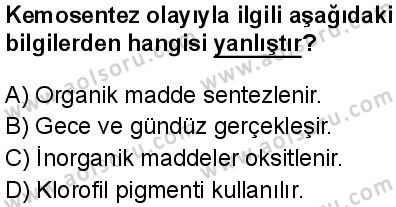 Biyoloji 3 Dersi 2025-2026 yılı 1. Dönem sınavı 4. Soru