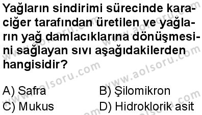 Biyoloji 3 Dersi 2025-2026 yılı 1. Dönem sınavı 7. Soru