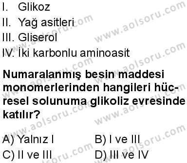 Biyoloji 3 Dersi 2025-2026 yılı 1. Dönem sınavı 9. Soru
