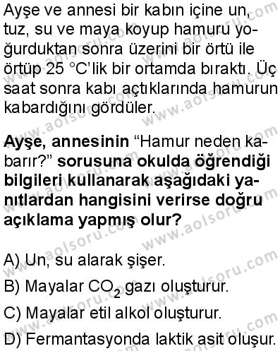 Biyoloji 3 Dersi 2025-2026 yılı 1. Dönem sınavı 10. Soru