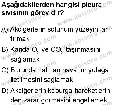 Seçmeli Biyoloji 2 Dersi 2025-2026 yılı 1. Dönem sınavı 1. Soru