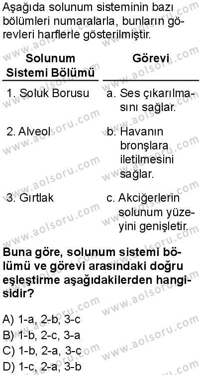 Seçmeli Biyoloji 2 Dersi 2025-2026 yılı 1. Dönem sınavı 2. Soru