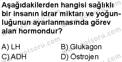 Seçmeli Biyoloji 2 Dersi 2025-2026 yılı 1. Dönem sınavı 5. Soru