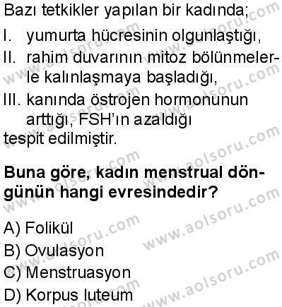 Seçmeli Biyoloji 2 Dersi 2025-2026 yılı 1. Dönem sınavı 6. Soru