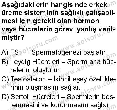 Seçmeli Biyoloji 2 Dersi 2025-2026 yılı 1. Dönem sınavı 7. Soru