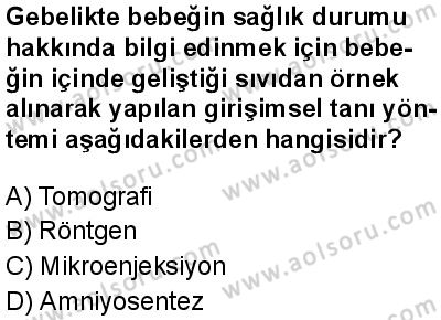 Seçmeli Biyoloji 2 Dersi 2025-2026 yılı 1. Dönem sınavı 8. Soru