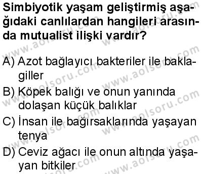 Seçmeli Biyoloji 2 Dersi 2025-2026 yılı 1. Dönem sınavı 9. Soru