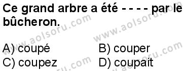 Fransızca 8 Dersi 2025-2026 yılı 1. Dönem sınavı 6. Soru