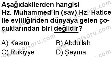 Seçmeli Peygamberimizin Hayatı 5 Dersi 2025-2026 yılı 1. Dönem sınavı 6. Soru