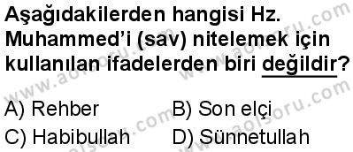 Seçmeli Peygamberimizin Hayatı 7 Dersi 2025-2026 yılı 1. Dönem sınavı 1. Soru