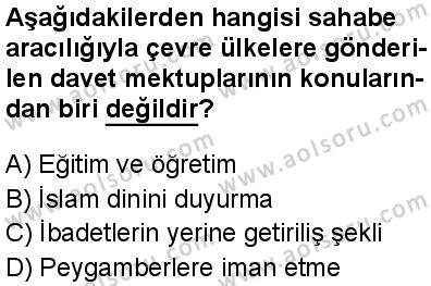 Seçmeli Peygamberimizin Hayatı 7 Dersi 2025-2026 yılı 1. Dönem sınavı 7. Soru