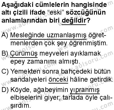 Türk Dili ve Edebiyatı 7 Dersi 2025-2026 yılı 1. Dönem sınavı 6. Soru