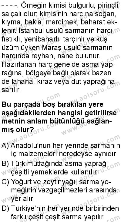 Seçmeli Türk Dili ve Edebiyatı 3 Dersi 2025-2026 yılı 1. Dönem sınavı 1. Soru