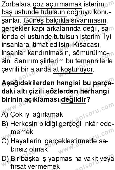 Seçmeli Türk Dili ve Edebiyatı 3 Dersi 2025-2026 yılı 1. Dönem sınavı 6. Soru