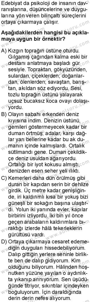 Seçmeli Türk Dili ve Edebiyatı 3 Dersi 2025-2026 yılı 1. Dönem sınavı 7. Soru