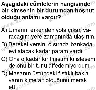 Seçmeli Türk Dili ve Edebiyatı 3 Dersi 2025-2026 yılı 1. Dönem sınavı 8. Soru