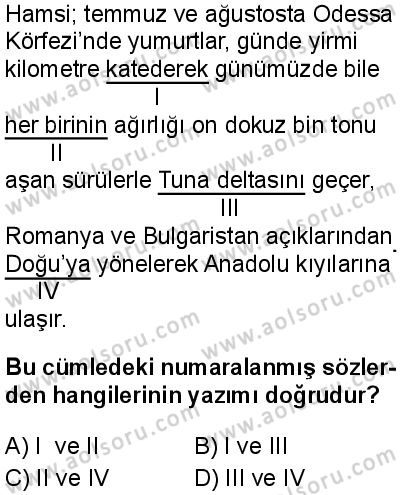 Seçmeli Türk Dili ve Edebiyatı 4 Dersi 2025-2026 yılı 1. Dönem sınavı 5. Soru