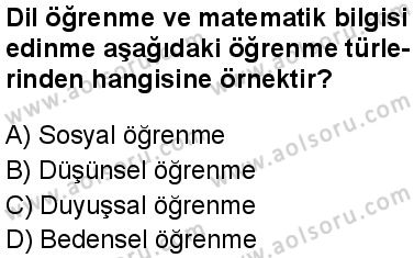 Seçmeli Psikoloji 2 Dersi 2025-2026 yılı 1. Dönem sınavı 1. Soru