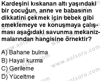 Seçmeli Psikoloji 2 Dersi 2025-2026 yılı 1. Dönem sınavı 10. Soru