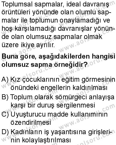 Seçmeli Sosyoloji 1 Dersi 2025-2026 yılı 1. Dönem sınavı 5. Soru