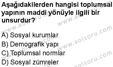 Seçmeli Sosyoloji 1 Dersi 2025-2026 yılı 1. Dönem sınavı 6. Soru