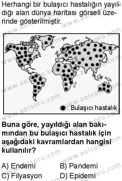 Sağlık Bilgisi ve Trafik Kültürü 1 Dersi 2025-2026 yılı 1. Dönem sınavı 3. Soru