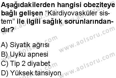 Sağlık Bilgisi ve Trafik Kültürü 1 Dersi 2025-2026 yılı 1. Dönem sınavı 4. Soru