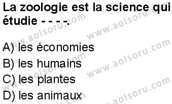 Fransızca 4 Dersi 2025-2026 yılı 1. Dönem sınavı 6. Soru