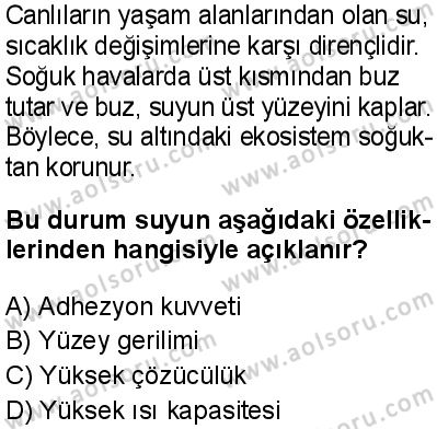 Biyoloji 2 Dersi 2025-2026 yılı 1. Dönem sınavı 1. Soru