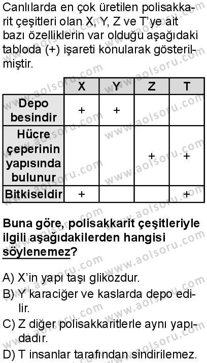 Biyoloji 2 Dersi 2025-2026 yılı 1. Dönem sınavı 2. Soru