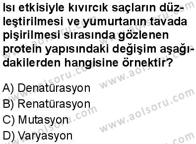 Biyoloji 2 Dersi 2025-2026 yılı 1. Dönem sınavı 3. Soru