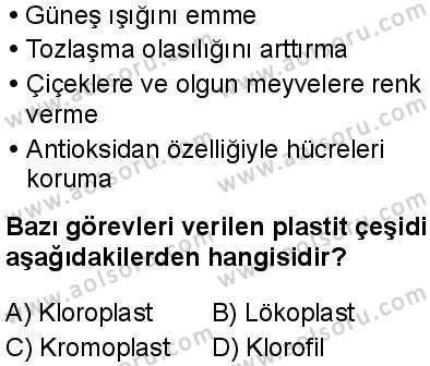Biyoloji 2 Dersi 2025-2026 yılı 1. Dönem sınavı 6. Soru