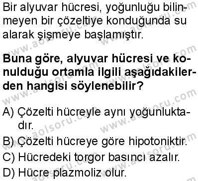 Biyoloji 2 Dersi 2025-2026 yılı 1. Dönem sınavı 9. Soru