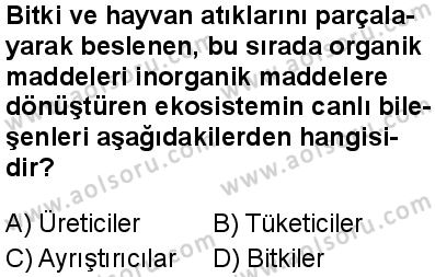 Biyoloji 4 Dersi 2025-2026 yılı 1. Dönem sınavı 1. Soru