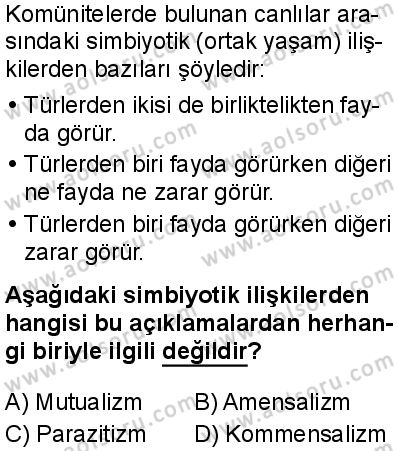 Biyoloji 4 Dersi 2025-2026 yılı 1. Dönem sınavı 4. Soru