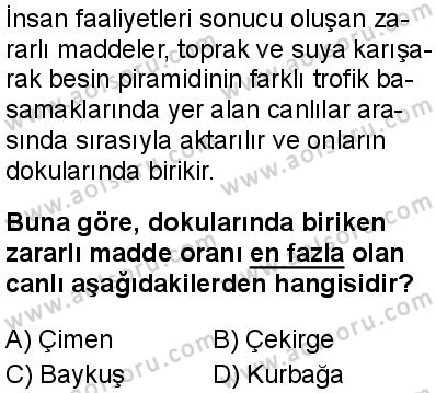 Biyoloji 4 Dersi 2025-2026 yılı 1. Dönem sınavı 5. Soru
