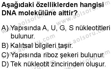 Seçmeli Biyoloji 3 Dersi 2025-2026 yılı 1. Dönem sınavı 2. Soru
