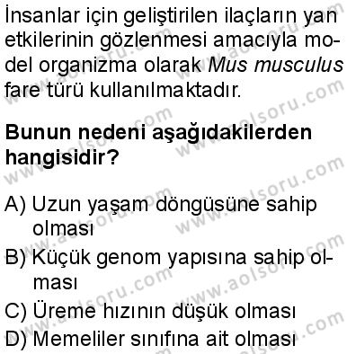 Seçmeli Biyoloji 3 Dersi 2025-2026 yılı 1. Dönem sınavı 5. Soru