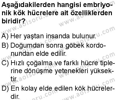Seçmeli Biyoloji 3 Dersi 2025-2026 yılı 1. Dönem sınavı 6. Soru