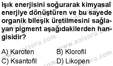 Seçmeli Biyoloji 3 Dersi 2025-2026 yılı 1. Dönem sınavı 8. Soru