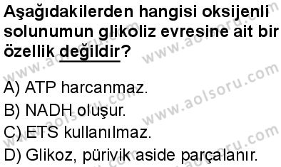 Seçmeli Biyoloji 3 Dersi 2025-2026 yılı 1. Dönem sınavı 10. Soru