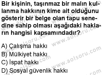 Seçmeli Demokrasi ve İnsan Hakları 1 Dersi 2025-2026 yılı 1. Dönem sınavı 3. Soru